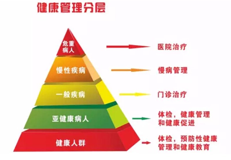 如何制定高效的体能训练计划?——炼练家专业团队分享